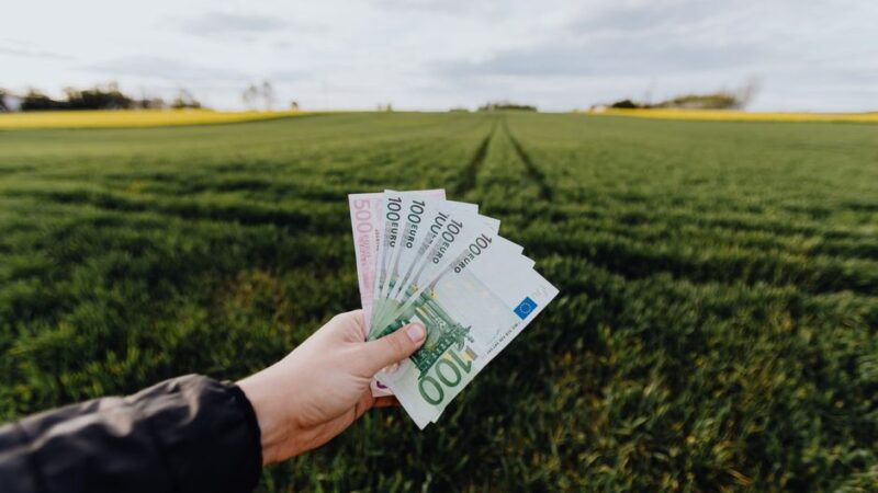 Passiivne tulu ühisrahastusest 2026 — P2P intressitulu